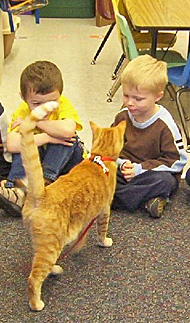 Kids Meeting Guido the Cat in the Classroom