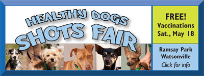 ad for Watsonville Shots Fair