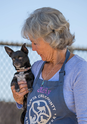volunteer with small dog in playgroup