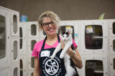 Volunteer Opportunities - Santa Cruz County Animal Shelter