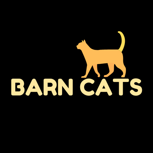 Barn sales cat rescue