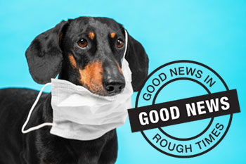 Good News in Rough Times – Santa Cruz County Animal Shelter