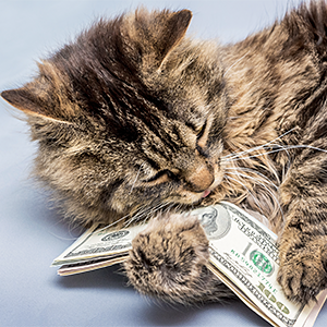 AS_263451563_CatMoney